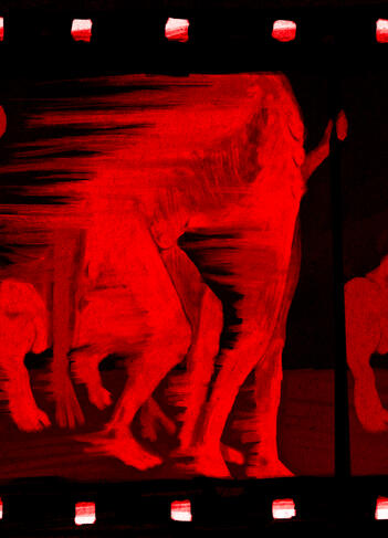 The Sphinx